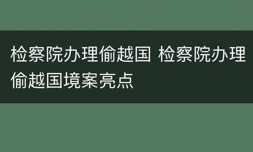 检察院办理偷越国 检察院办理偷越国境案亮点