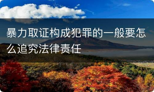 暴力取证构成犯罪的一般要怎么追究法律责任
