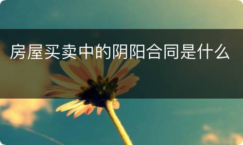 房屋买卖中的阴阳合同是什么