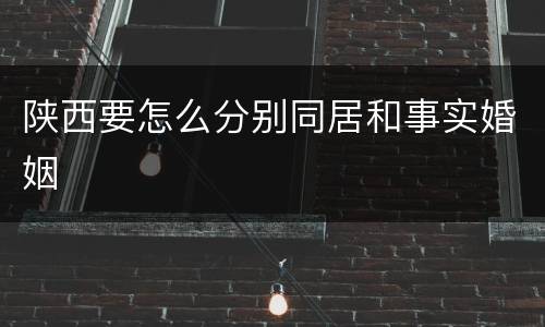 陕西要怎么分别同居和事实婚姻
