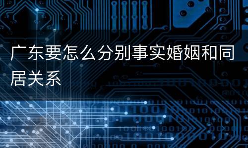 广东要怎么分别事实婚姻和同居关系