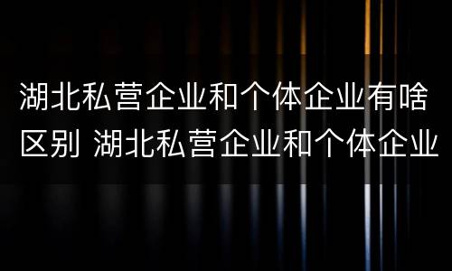 湖北私营企业和个体企业有啥区别 湖北私营企业和个体企业有啥区别呢