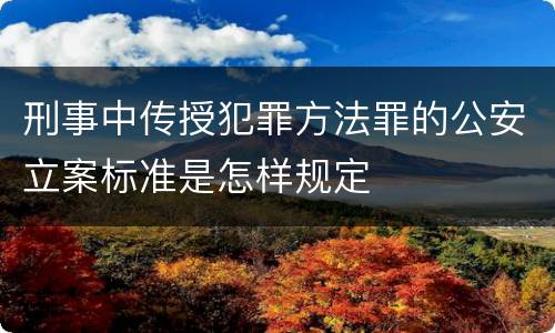 刑事中传授犯罪方法罪的公安立案标准是怎样规定