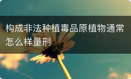 构成非法种植毒品原植物通常怎么样量刑