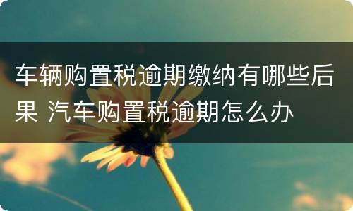 车辆购置税逾期缴纳有哪些后果 汽车购置税逾期怎么办