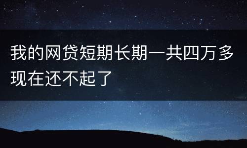 我的网贷短期长期一共四万多现在还不起了