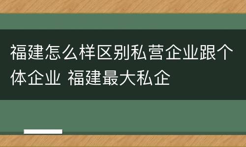 福建怎么样区别私营企业跟个体企业 福建最大私企