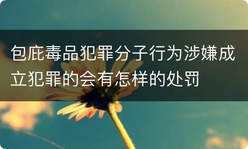 包庇毒品犯罪分子行为涉嫌成立犯罪的会有怎样的处罚