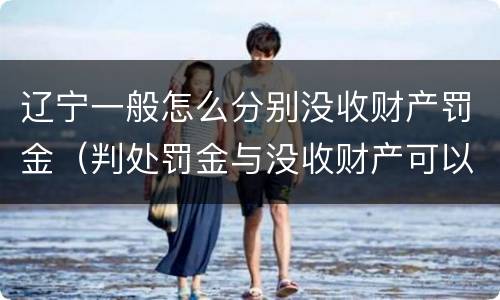 辽宁一般怎么分别没收财产罚金（判处罚金与没收财产可以并罚吗）