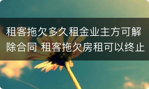 租客拖欠多久租金业主方可解除合同 租客拖欠房租可以终止合同吗
