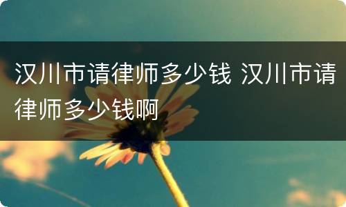 汉川市请律师多少钱 汉川市请律师多少钱啊