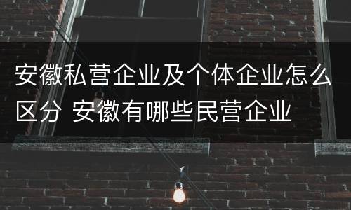 安徽私营企业及个体企业怎么区分 安徽有哪些民营企业