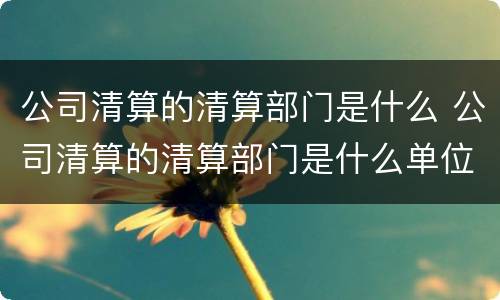 公司清算的清算部门是什么 公司清算的清算部门是什么单位