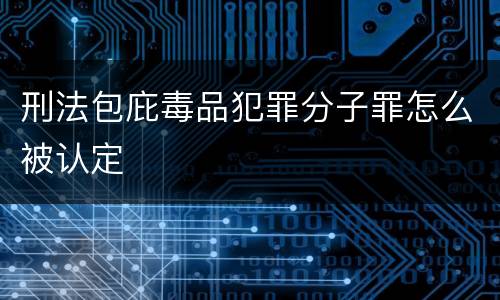 刑法包庇毒品犯罪分子罪怎么被认定