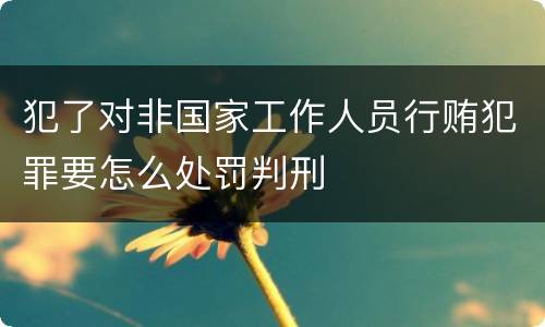 犯了对非国家工作人员行贿犯罪要怎么处罚判刑