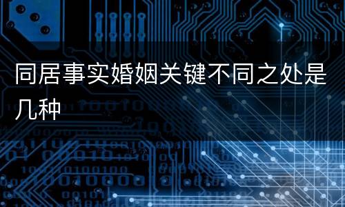 同居事实婚姻关键不同之处是几种
