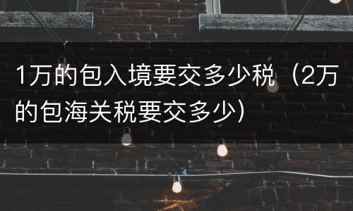 1万的包入境要交多少税（2万的包海关税要交多少）