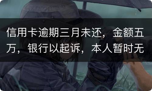信用卡逾期三月未还，金额五万，银行以起诉，本人暂时无偿还能力