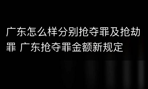 广东怎么样分别抢夺罪及抢劫罪 广东抢夺罪金额新规定