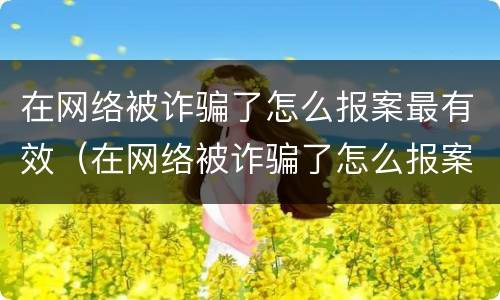 在网络被诈骗了怎么报案最有效（在网络被诈骗了怎么报案最有效的方法）