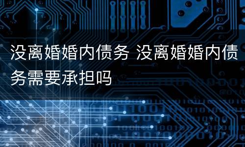 没离婚婚内债务 没离婚婚内债务需要承担吗