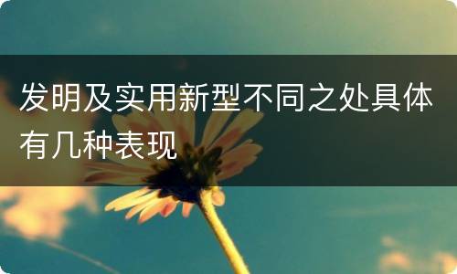 发明及实用新型不同之处具体有几种表现