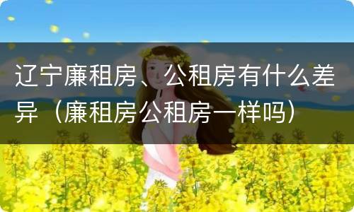 辽宁廉租房、公租房有什么差异（廉租房公租房一样吗）