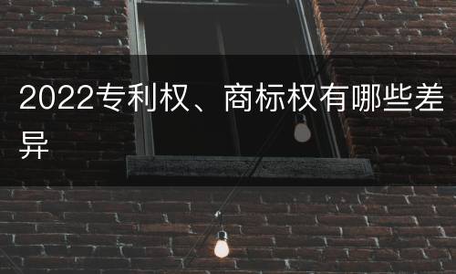 2022专利权、商标权有哪些差异