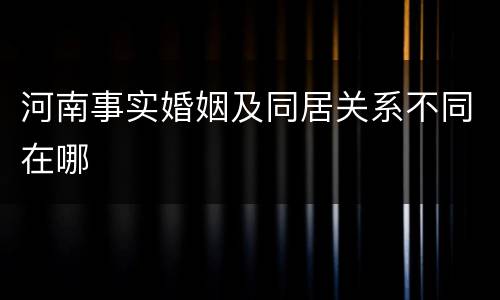 河南事实婚姻及同居关系不同在哪