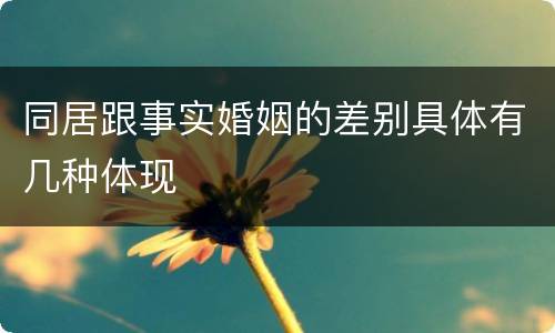 同居跟事实婚姻的差别具体有几种体现