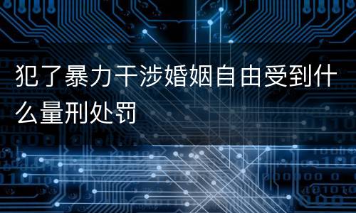 犯了暴力干涉婚姻自由受到什么量刑处罚