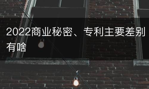2022商业秘密、专利主要差别有啥