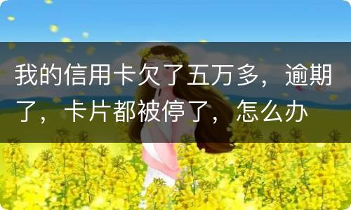 我的信用卡欠了五万多，逾期了，卡片都被停了，怎么办