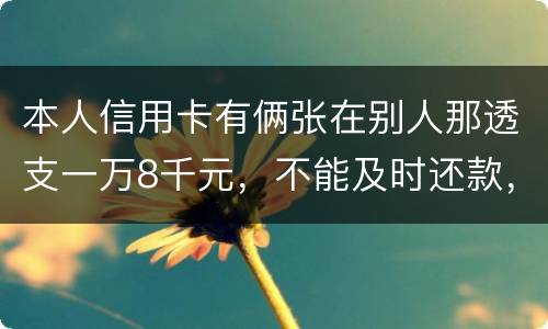 本人信用卡有俩张在别人那透支一万8千元，不能及时还款，能起诉吗