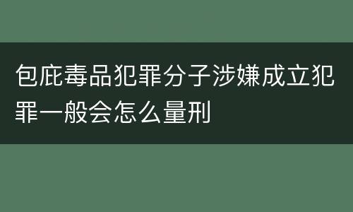 包庇毒品犯罪分子涉嫌成立犯罪一般会怎么量刑