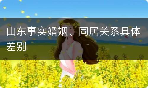山东事实婚姻、同居关系具体差别