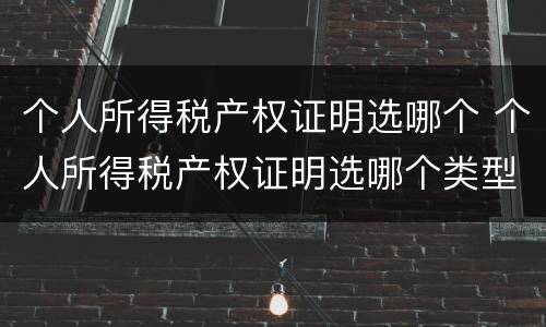 个人所得税产权证明选哪个 个人所得税产权证明选哪个类型