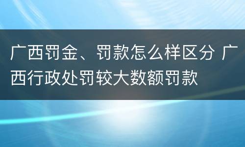 广西罚金、罚款怎么样区分 广西行政处罚较大数额罚款