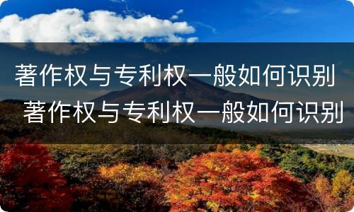 著作权与专利权一般如何识别 著作权与专利权一般如何识别的