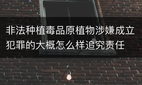 非法种植毒品原植物涉嫌成立犯罪的大概怎么样追究责任