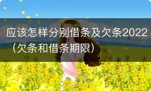 应该怎样分别借条及欠条2022（欠条和借条期限）