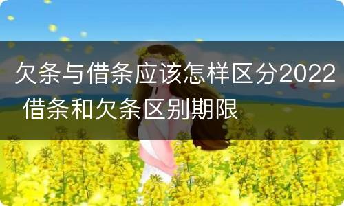 欠条与借条应该怎样区分2022 借条和欠条区别期限