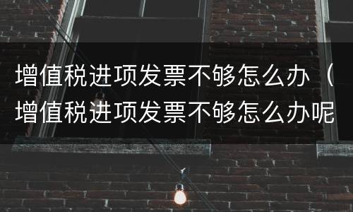 增值税进项发票不够怎么办（增值税进项发票不够怎么办呢）