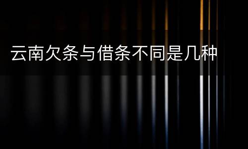云南欠条与借条不同是几种