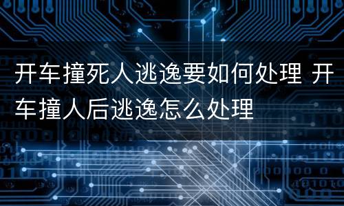 开车撞死人逃逸要如何处理 开车撞人后逃逸怎么处理