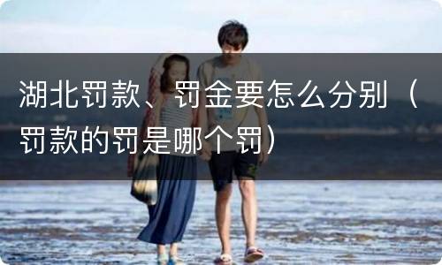 湖北罚款、罚金要怎么分别（罚款的罚是哪个罚）