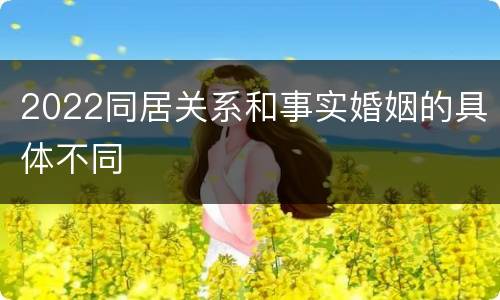 2022同居关系和事实婚姻的具体不同