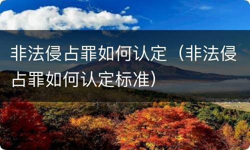 非法侵占罪如何认定（非法侵占罪如何认定标准）