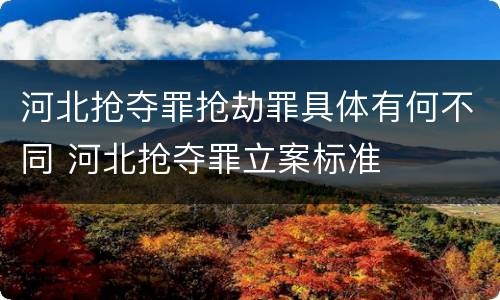 河北抢夺罪抢劫罪具体有何不同 河北抢夺罪立案标准
