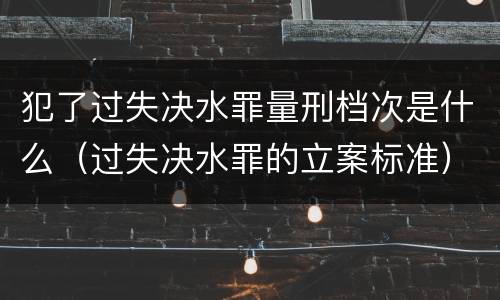 犯了过失决水罪量刑档次是什么（过失决水罪的立案标准）
